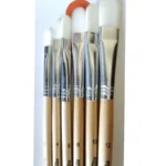 PINCELES POINTER 0513AO X6 LENGUA GATO SURTIDO